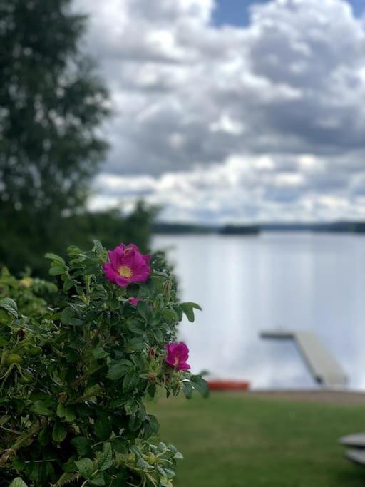 Large Cozy Villa Between Stockholm And Oslo Åmotfors エクステリア 写真